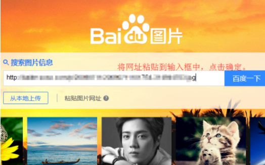 亚洲av日韩av女同同性